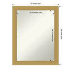 Specchio da Parete Rettangolare Oro Spazzolato, Singolo, 21.5" x 27.5"